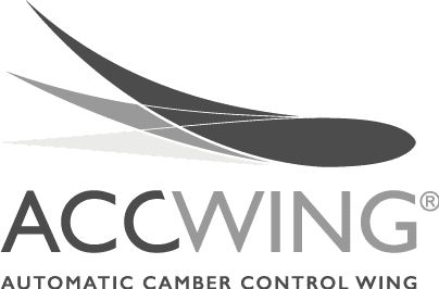 Logo Accwing
